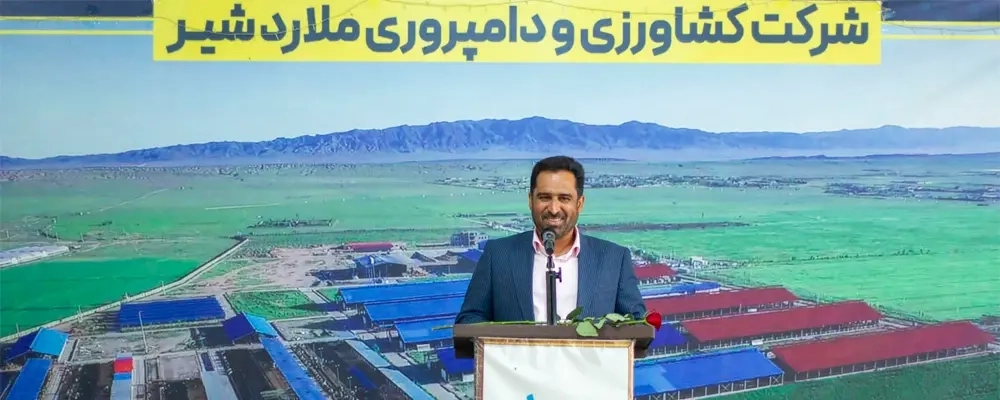 مرکز خیریه امیرحسینی 496854685